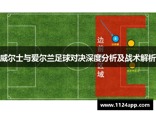 威尔士与爱尔兰足球对决深度分析及战术解析